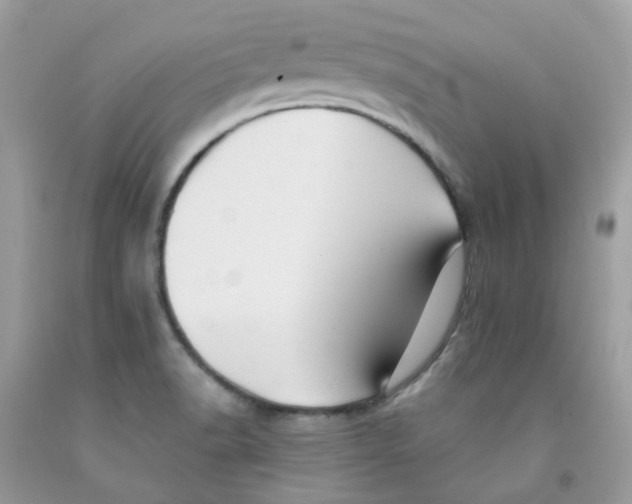 X0000091541518200709141445