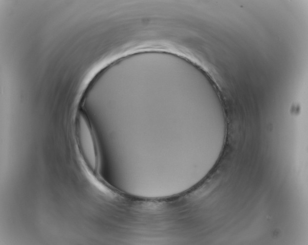 X0000091541519200709141445