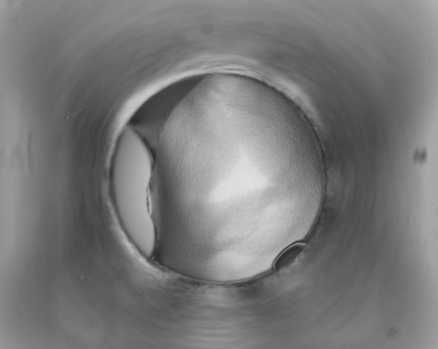 X0000091541520200709141445