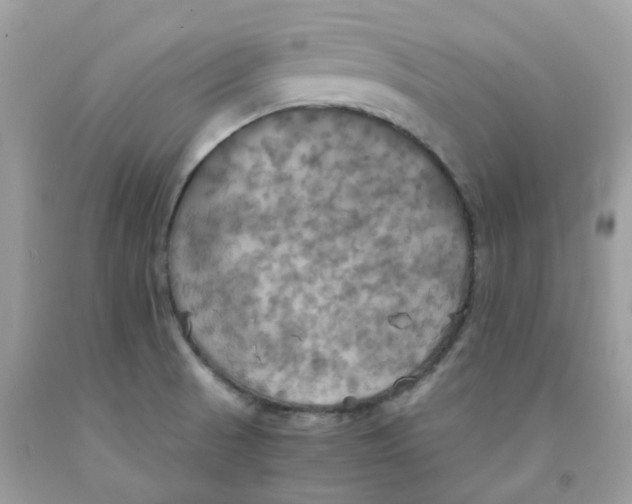 X0000091541521200709141445