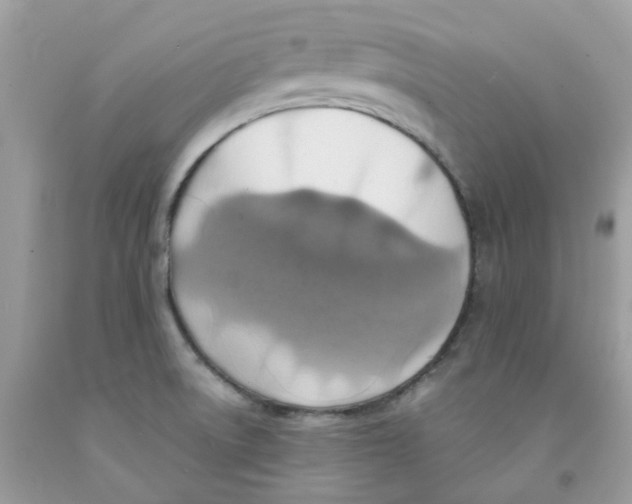 X0000091541522200709141445