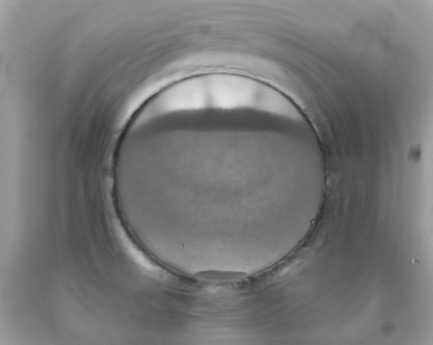 X0000091541523200709141445