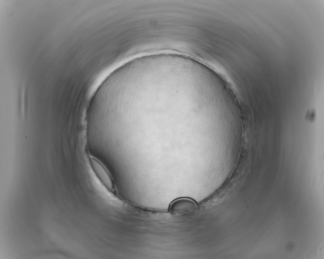 X0000091541524200709141445