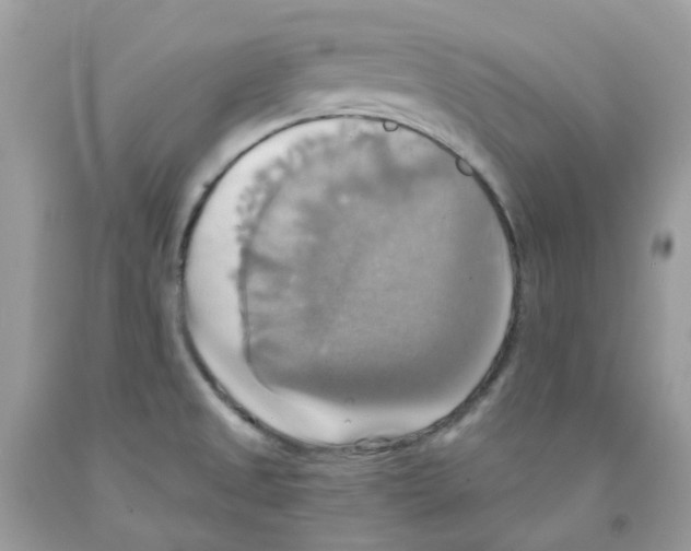 X0000091541525200709141445