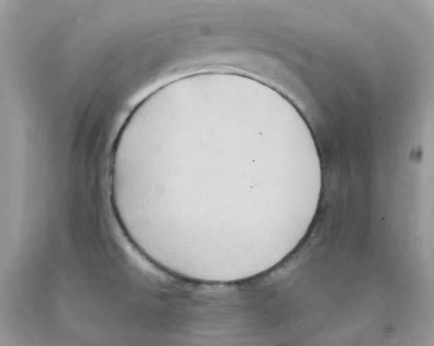 X0000091541526200709141445