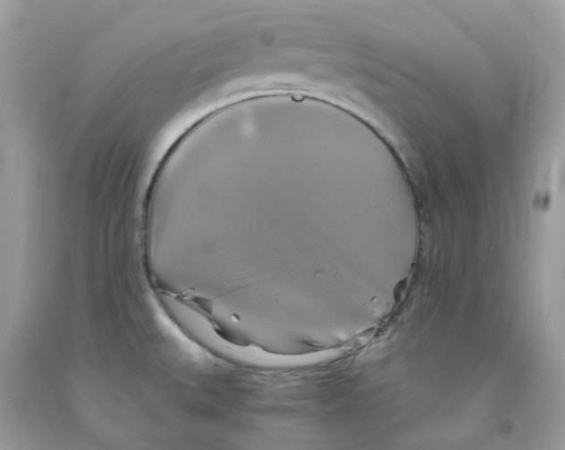 X0000091541527200709141445