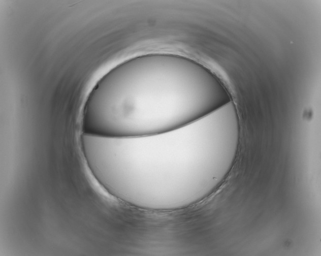 X0000091541528200709141445