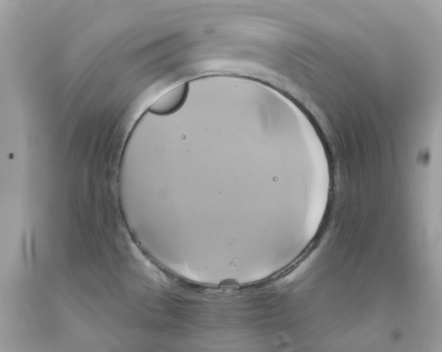 X0000091541529200709141445