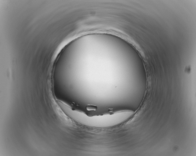 X0000091541530200709141445