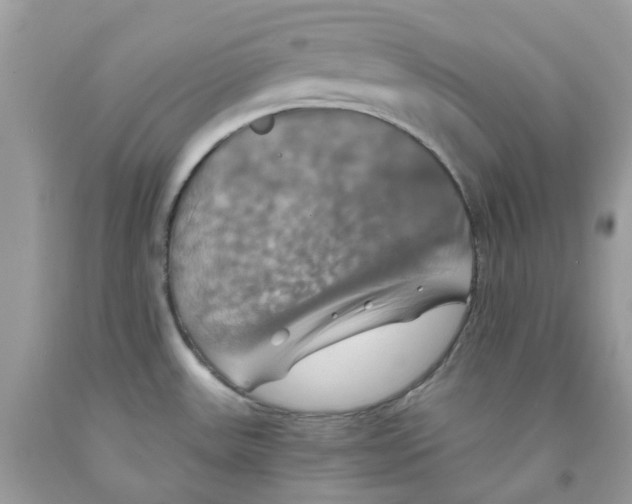 X0000091541531200709141445