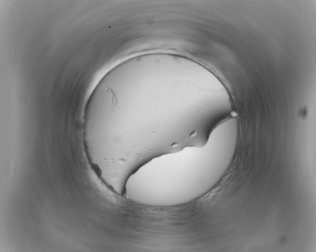 X0000091541532200709141445