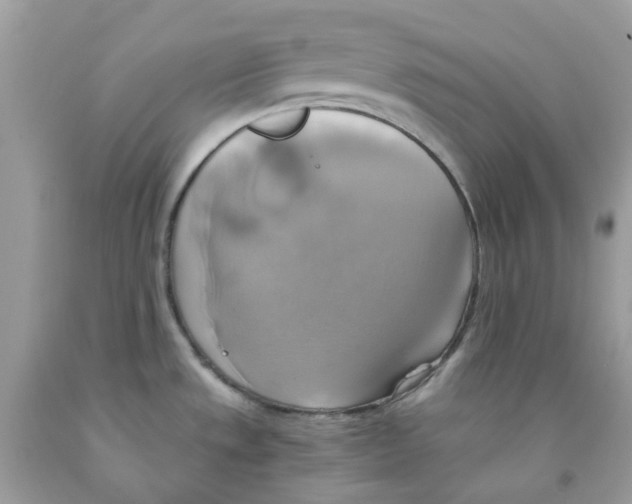 X0000091541533200709141445