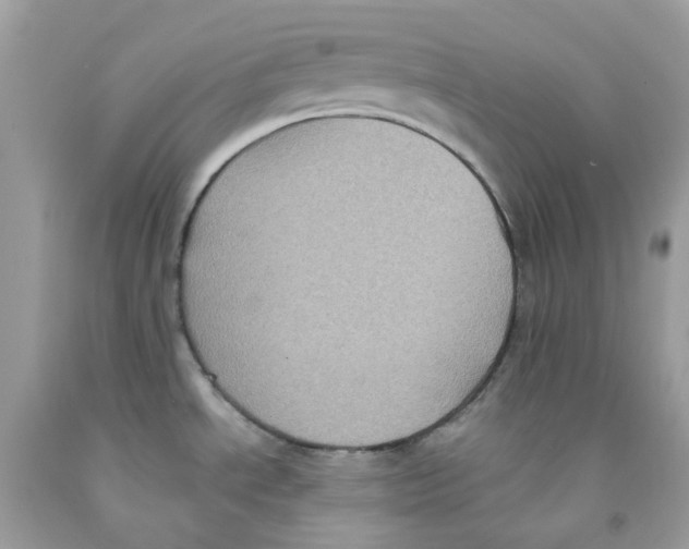 X0000091541534200709141445