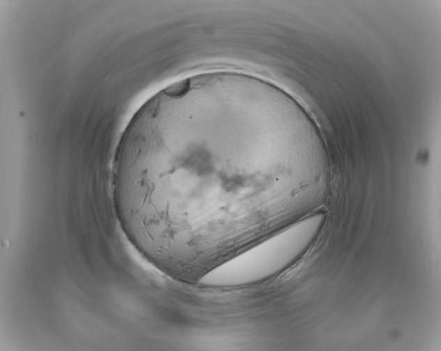 X0000091541535200709141446