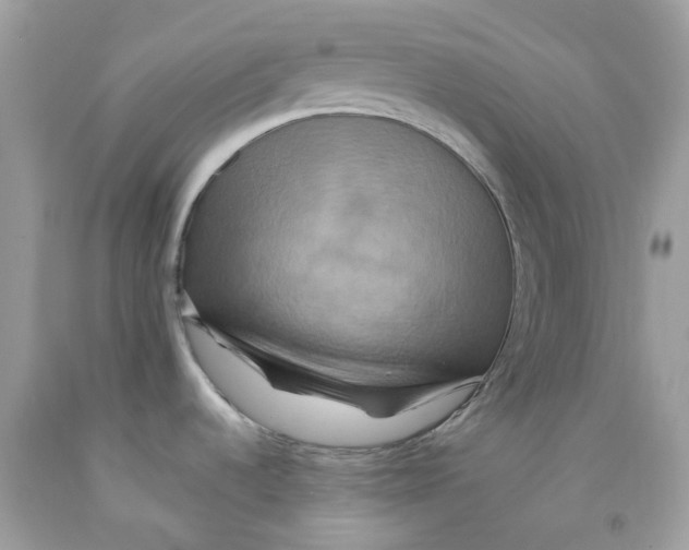 X0000091541536200709141446