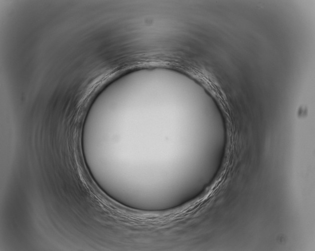 X0000091550001200708171050