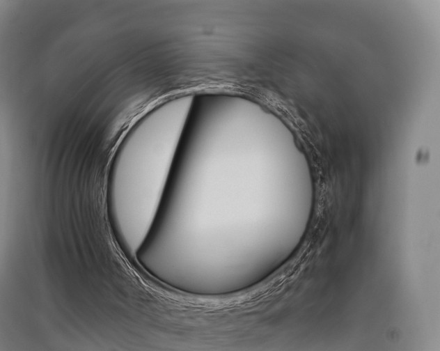 X0000091550002200708171050