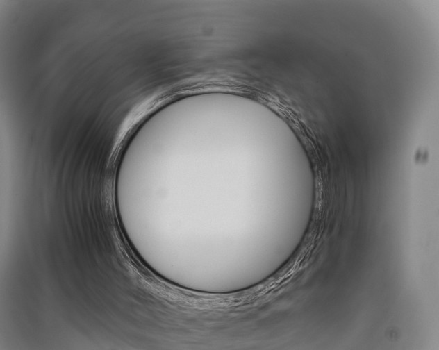 X0000091550004200708171050