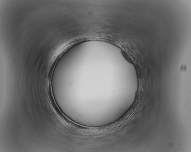 X0000091550005200708171050