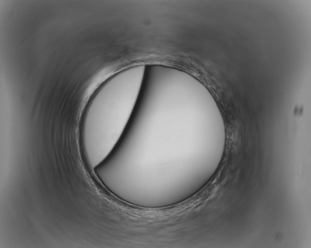 X0000091550006200708171050