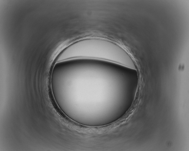X0000091550007200708171050