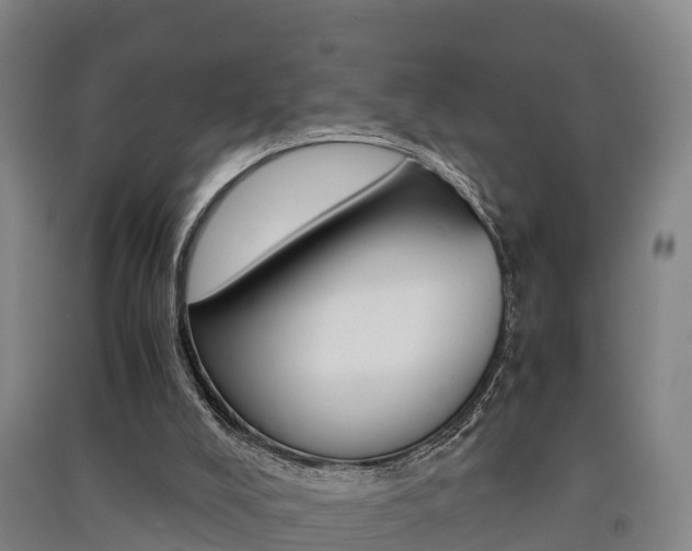 X0000091550008200708171050