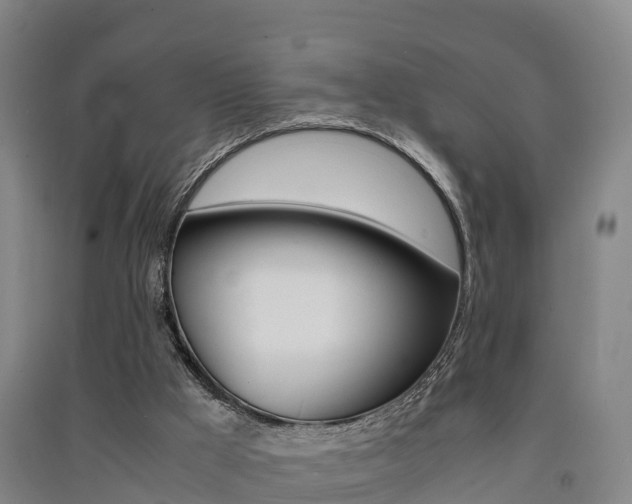 X0000091550009200708171050