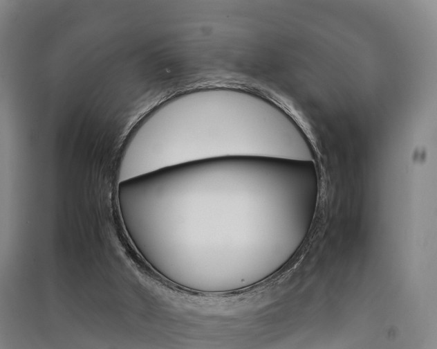 X0000091550010200708171050