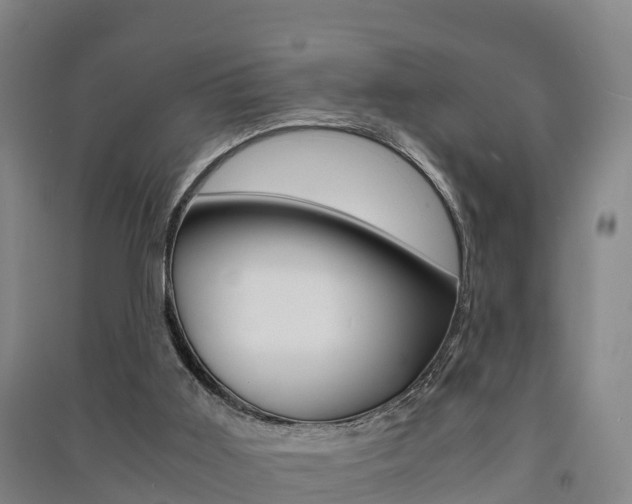 X0000091550011200708171050