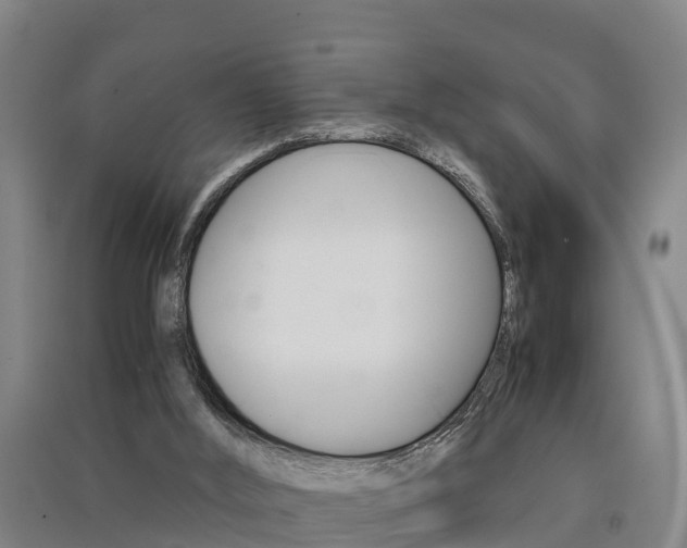 X0000091550012200708171050