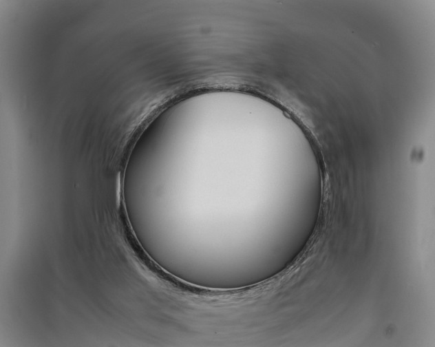X0000091550013200708171050