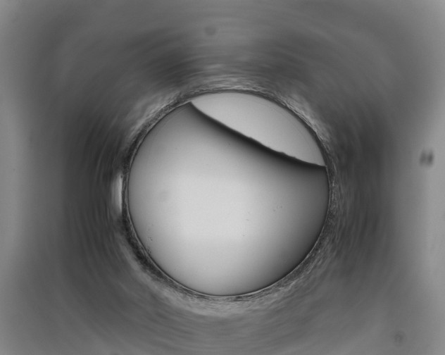 X0000091550014200708171050