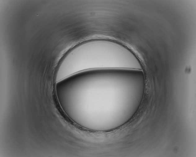 X0000091550015200708171050