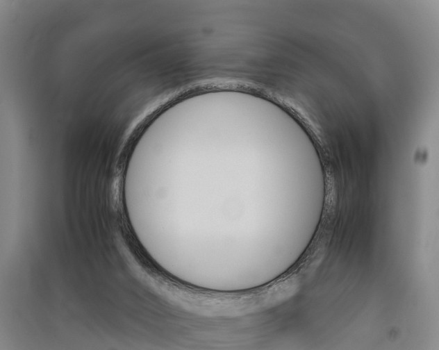 X0000091550016200708171050