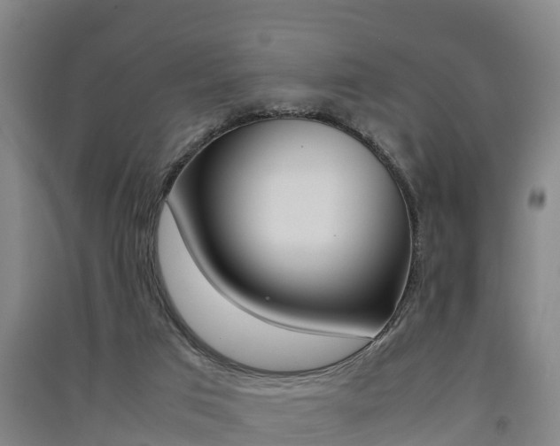 X0000091550017200708171050