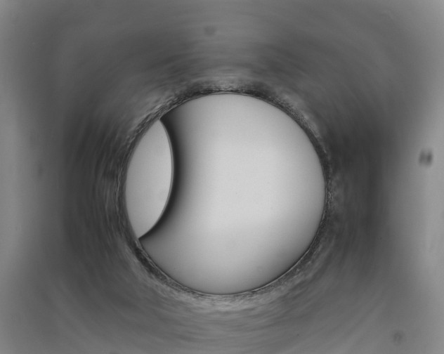 X0000091550018200708171050