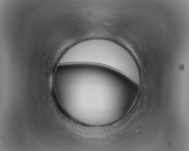 X0000091550019200708171050