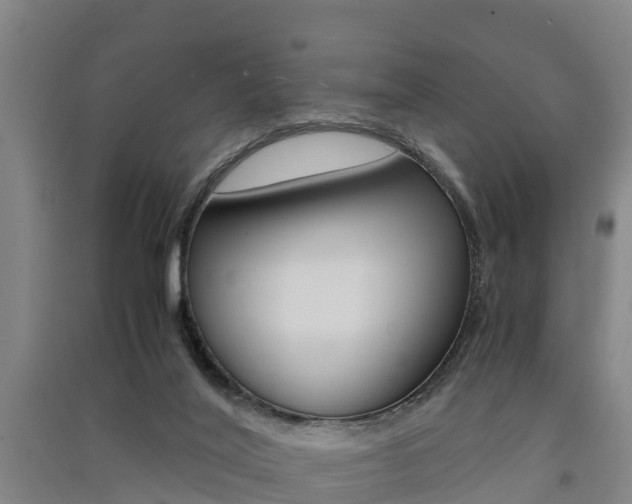 X0000091550020200708171050