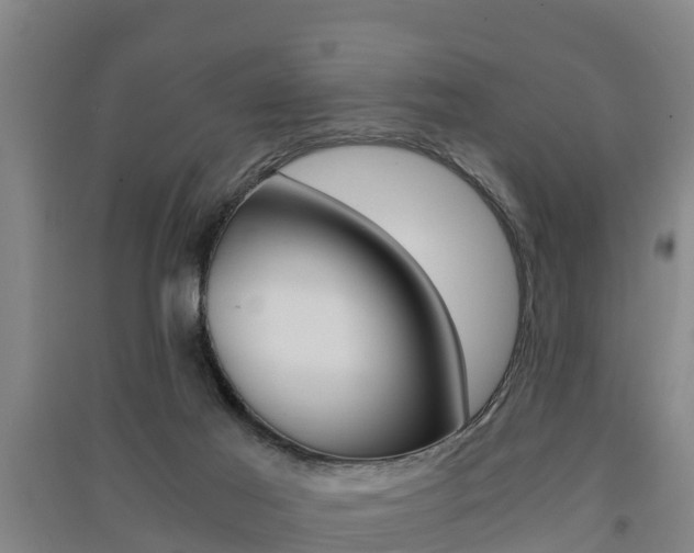 X0000091550021200708171050