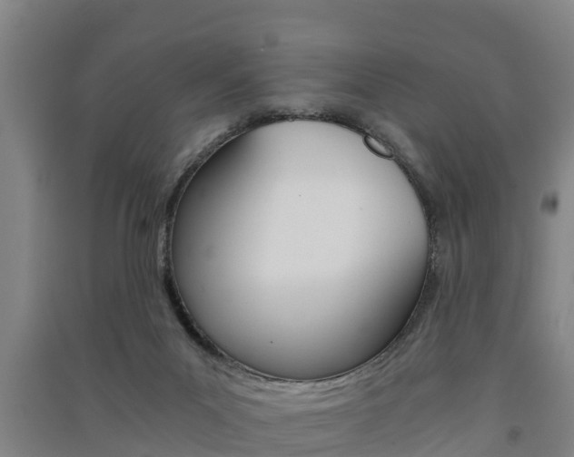 X0000091550023200708171049