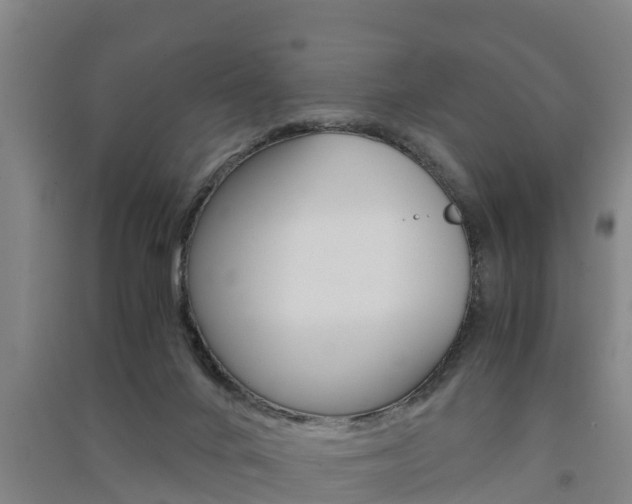 X0000091550024200708171049