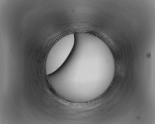 X0000091550026200708171049