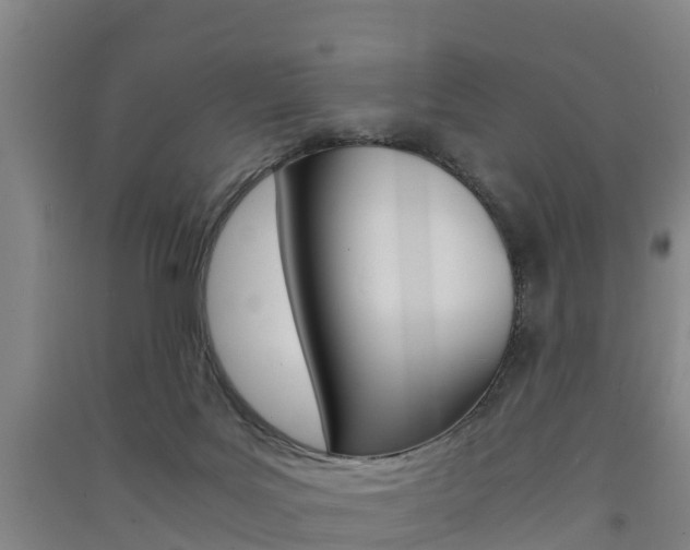 X0000091550027200708171049