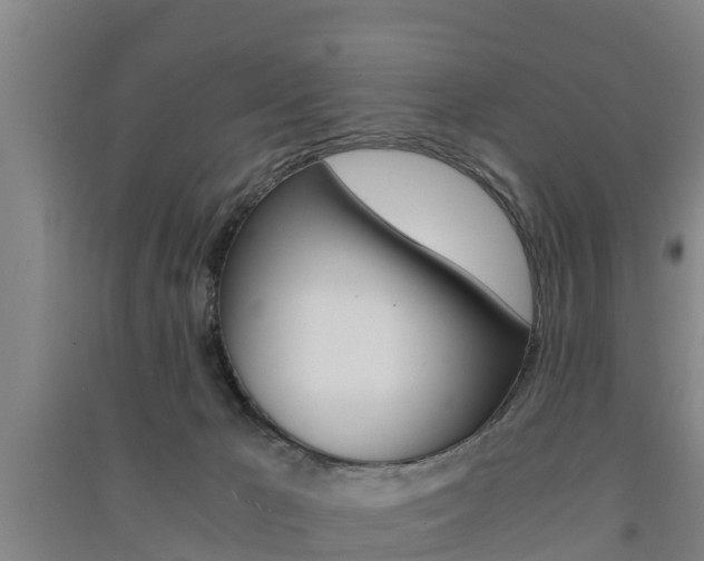 X0000091550029200708171049