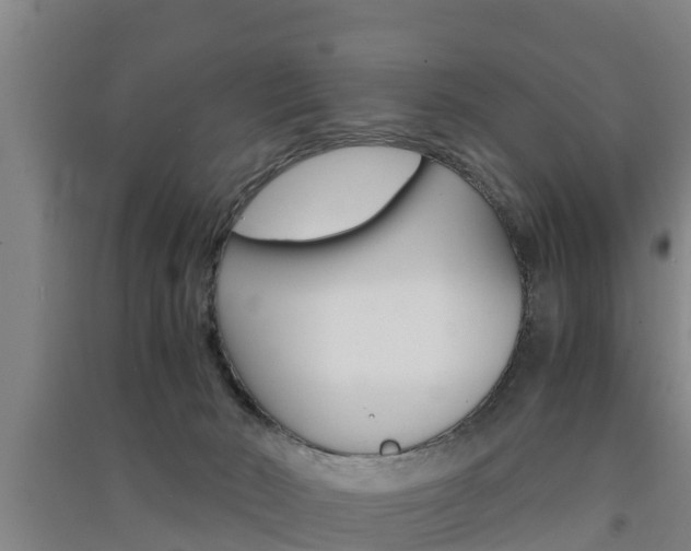 X0000091550030200708171049
