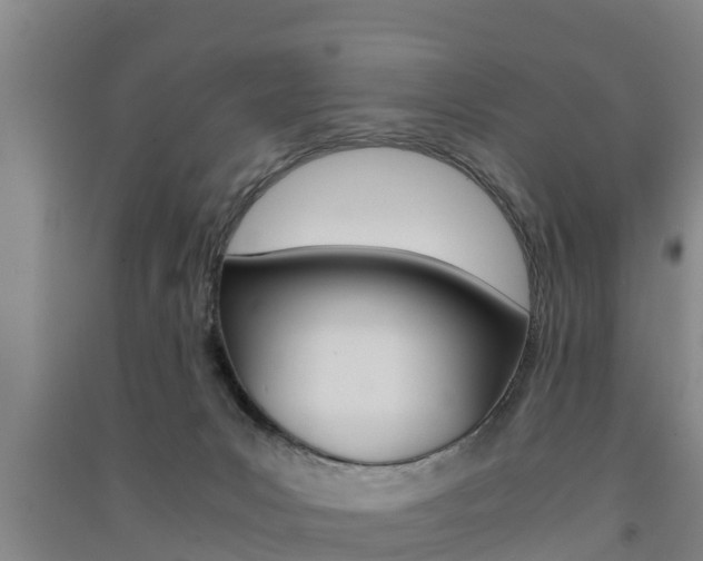 X0000091550031200708171049