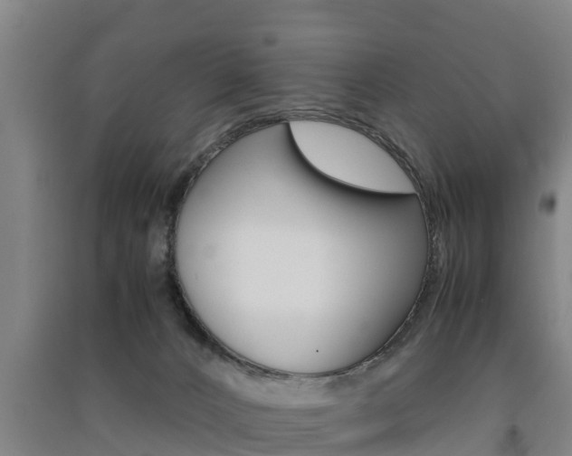 X0000091550032200708171049