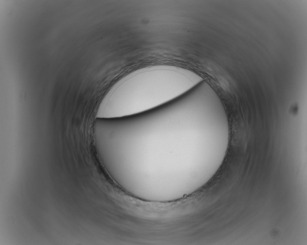 X0000091550034200708171049
