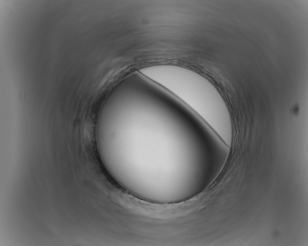 X0000091550035200708171049