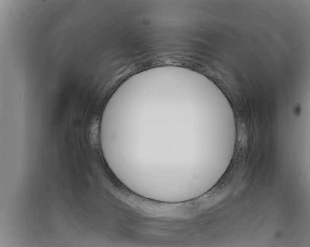 X0000091550036200708171049
